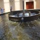 Opening of the first recirculation-based fish farming system in Rwanda by FoodTechAfrica
